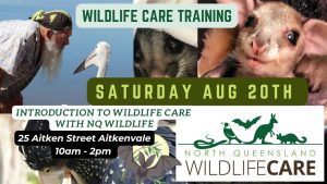 Wildlife rescue Townsville