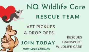 wildlife rescue